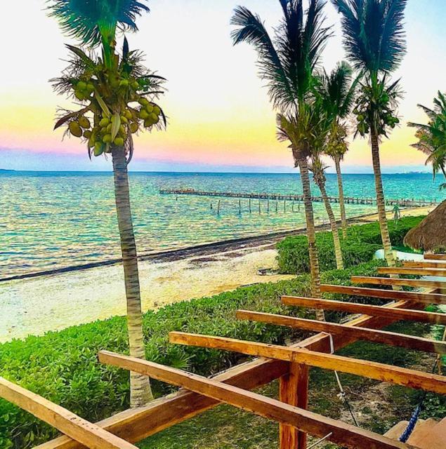 Punta Me Beach Suites Cancún Extérieur photo